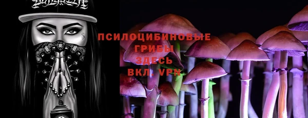 apvp Кинешма