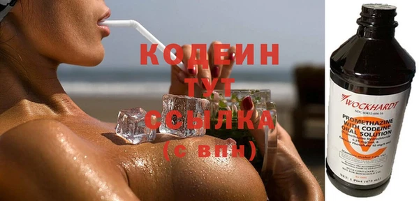 молекула духа Киреевск