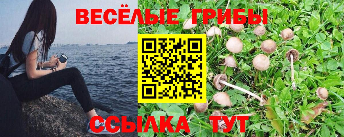 ГАШ  Героин  Меф МЯУ МЯУ кристаллы  Вход с VPN  MDMA  Экстази  Канабис  Чита  A PVP СОЛЬ кристаллы 